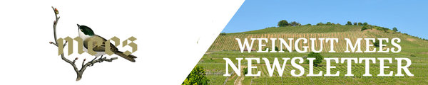 Wein Newsletter